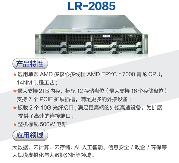 立尔讯LR2085存储服务器